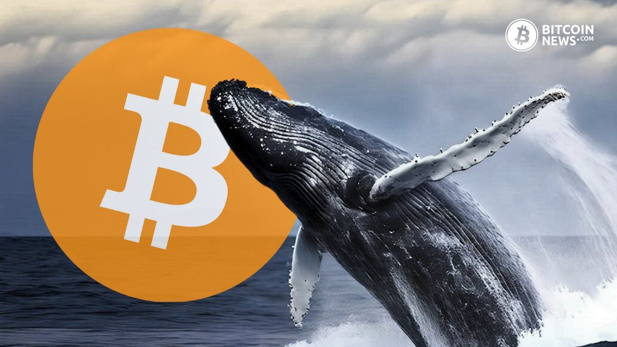 Bitcoin Whales Awakening Rocks The Market