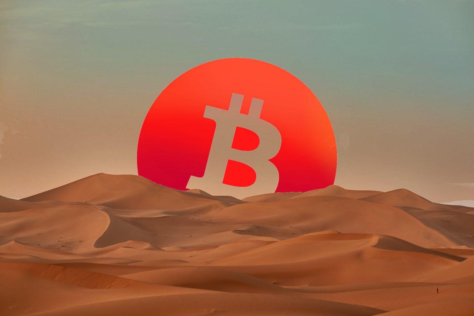 bitcoin dunes artwork