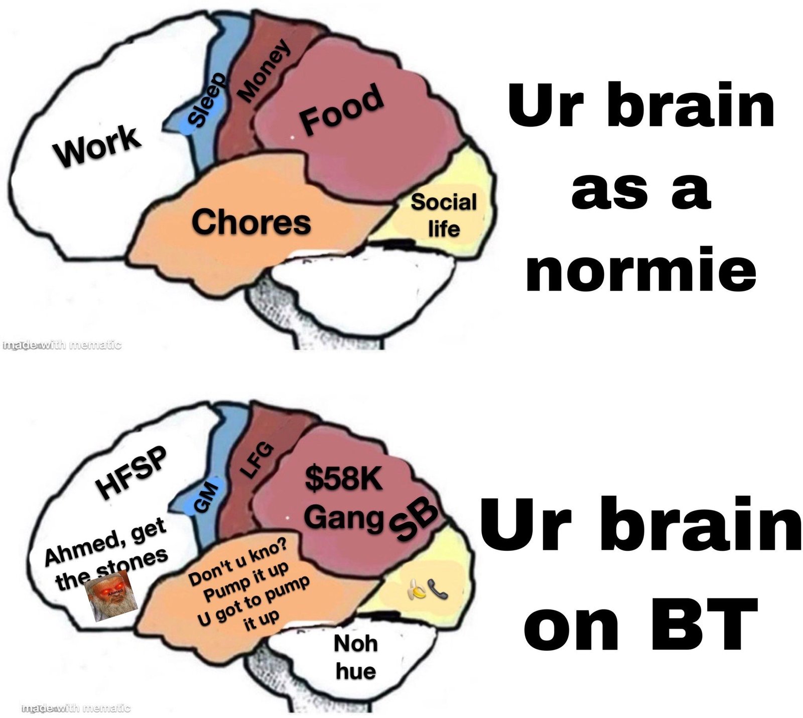 Bitcoin Brain Meme