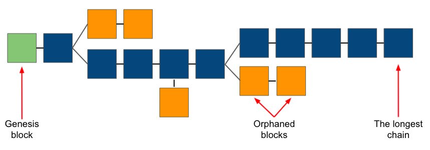 The longest chain rule in Bitcoin - bitcoin 101