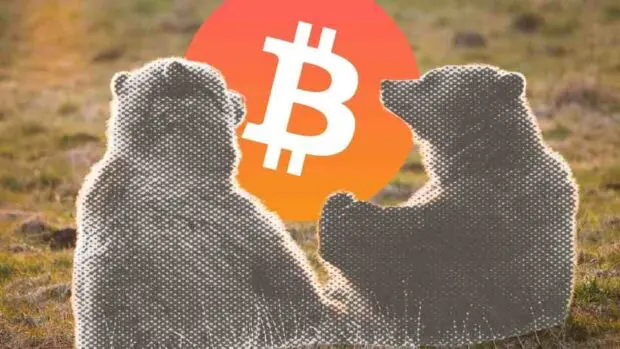 Are we in a Bitcoin Bear Market?