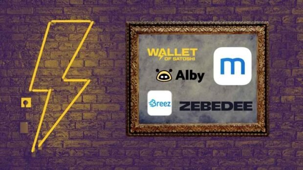 list of best lightning wallets