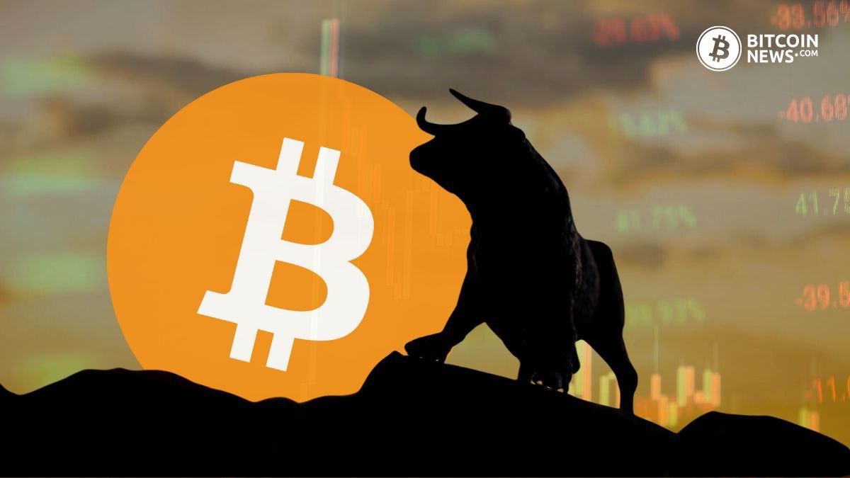 bitcoin accumulation bull market thumbnail