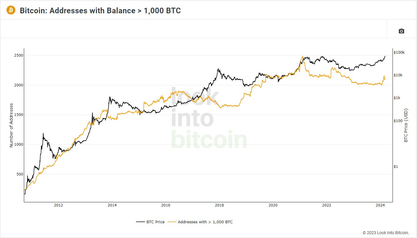 bitcoin addresses with more than 1000 btc