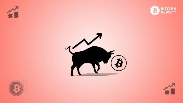 bitcoin bull market thumbnail