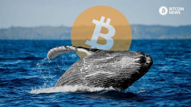 bitcoin etf thumbnail