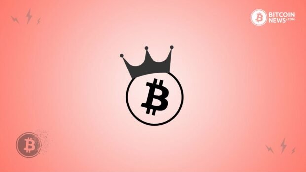 bitcoin maximalist thumbnail