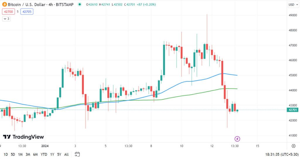 bitcoin price crash