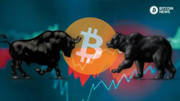 Why Bitcoin’s Volatility is a Small Price to Pay