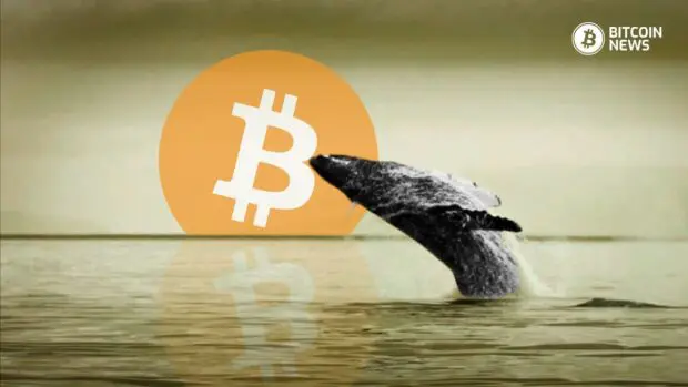 Bitcoin Whale Accumulates Staggering 4,380 BTC in 37 Days