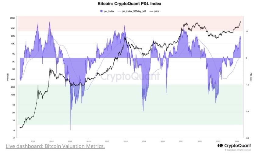 cryptoquant p&L index - bitcoin bull market