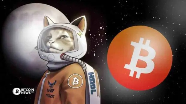 Why Support Hodlonaut On His Legal Stand Against Craig Wright