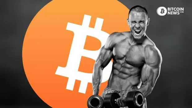 No Pain, No Gain, What Weightlifting Can Teach You About Bitcoin