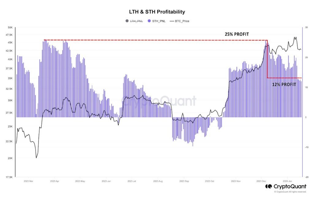 reduction in profit of short-term holders - inflation 2024