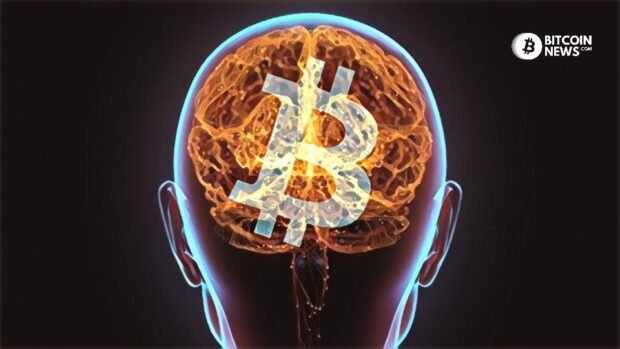 Back of Bitcoin brain