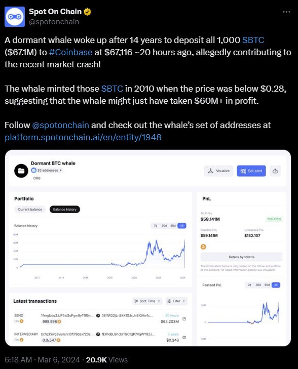 spot on chain bitcoin whale