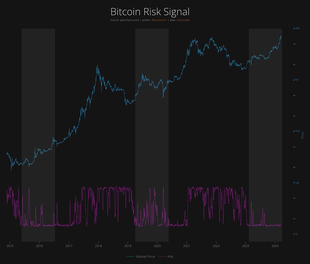 bitcoin risk signal