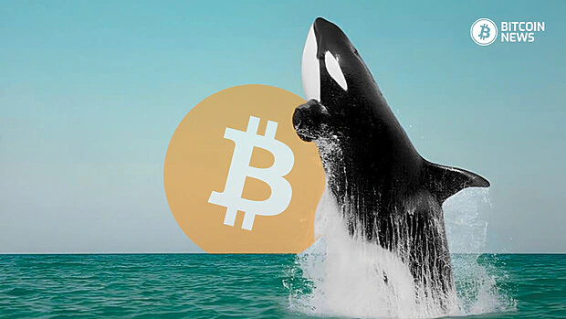 Bitcoin Whales Accumulate 3,400 BTC as Price Breaks $66K