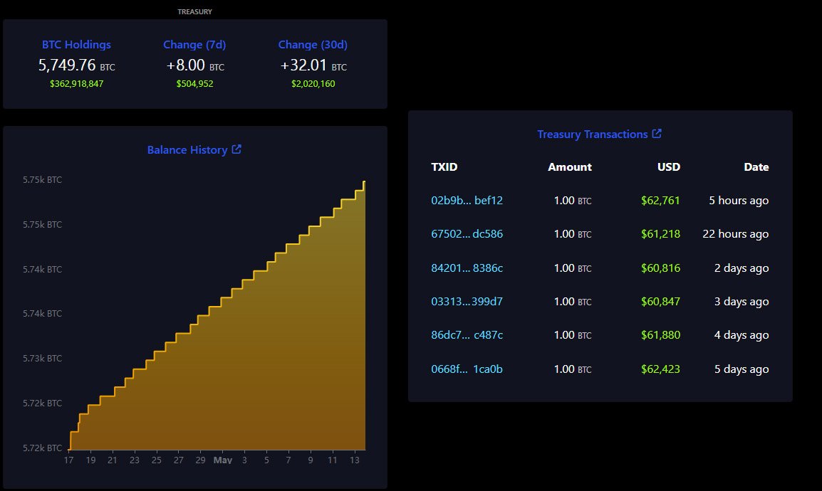 el salvador bitcoin treasury