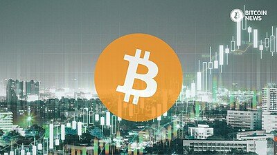 Bitcoin adoption