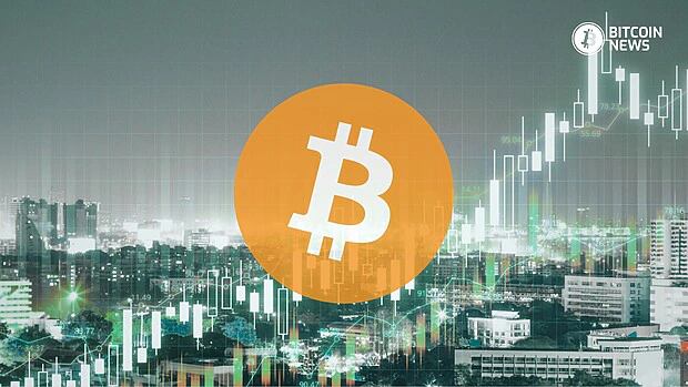Bitcoin Adoption in 2024: The Scarce Digital Asset’s Journey