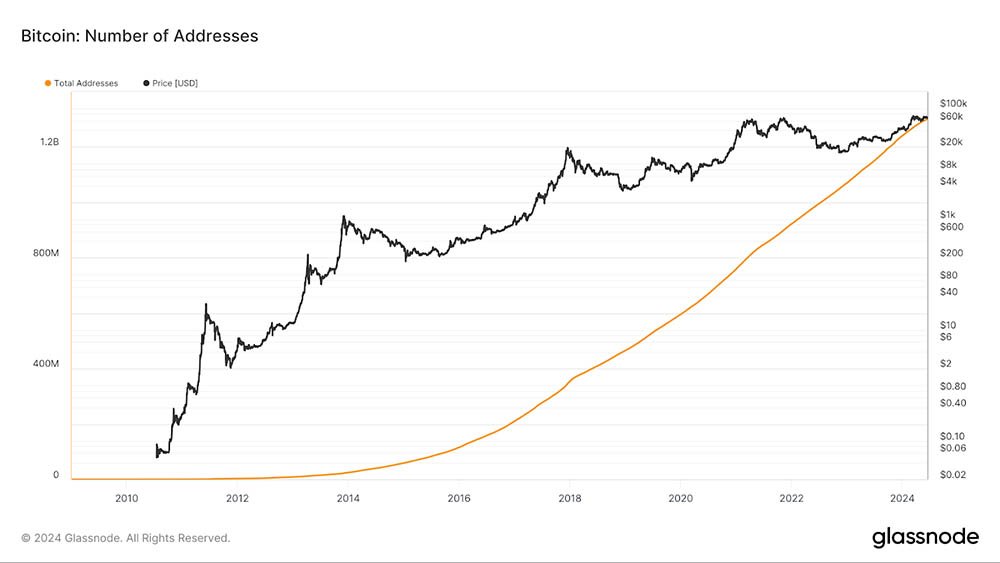 number of bitcoin addresses