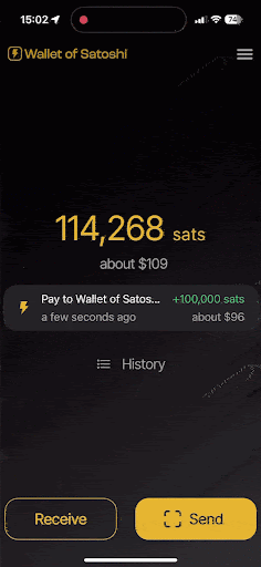 Wallet of satoshi bitcoin well