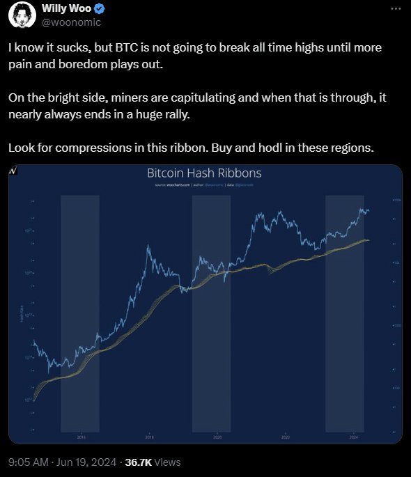 willy woo bitcoin ath