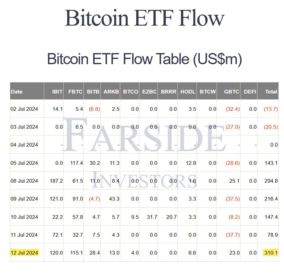 bitcoin etfs july12.jpg