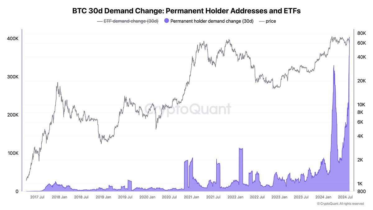 bitcoin whales permanent holders