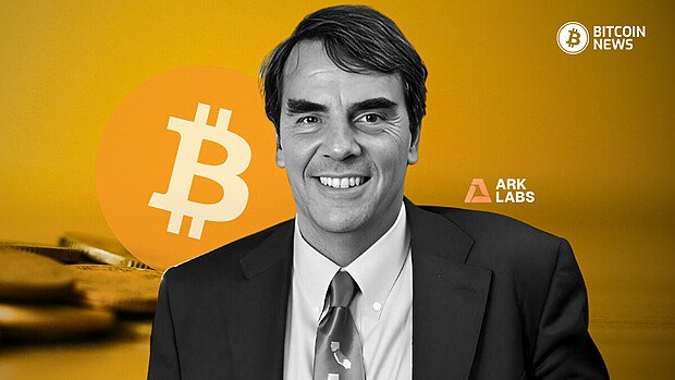 tim draper ark labs investment