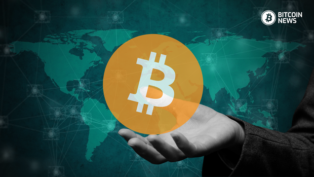 Who Owns the Most Bitcoin in 2024? A Look at Major Holders