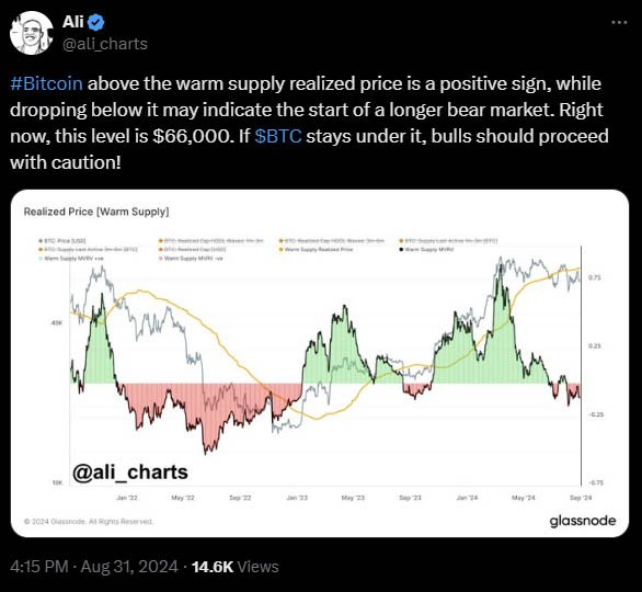 ali martinez bearish cycle