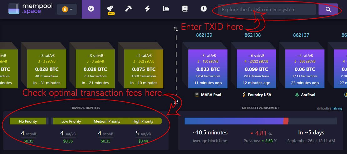 mempool space txid - How to Make an Online Purchase Using Bitcoin