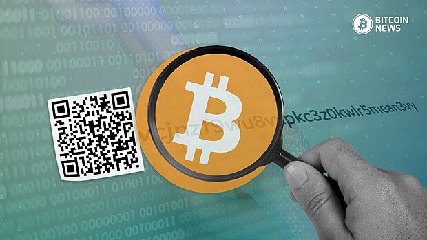 Bitcoin Address Lookup