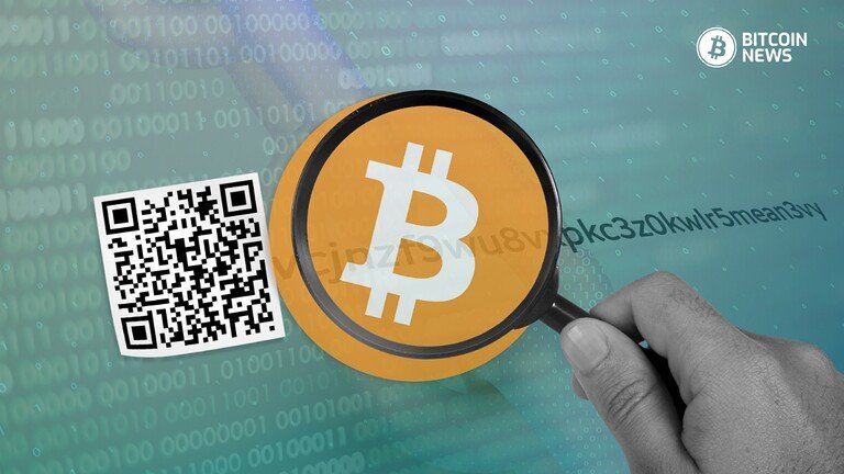 Bitcoin Address Lookup