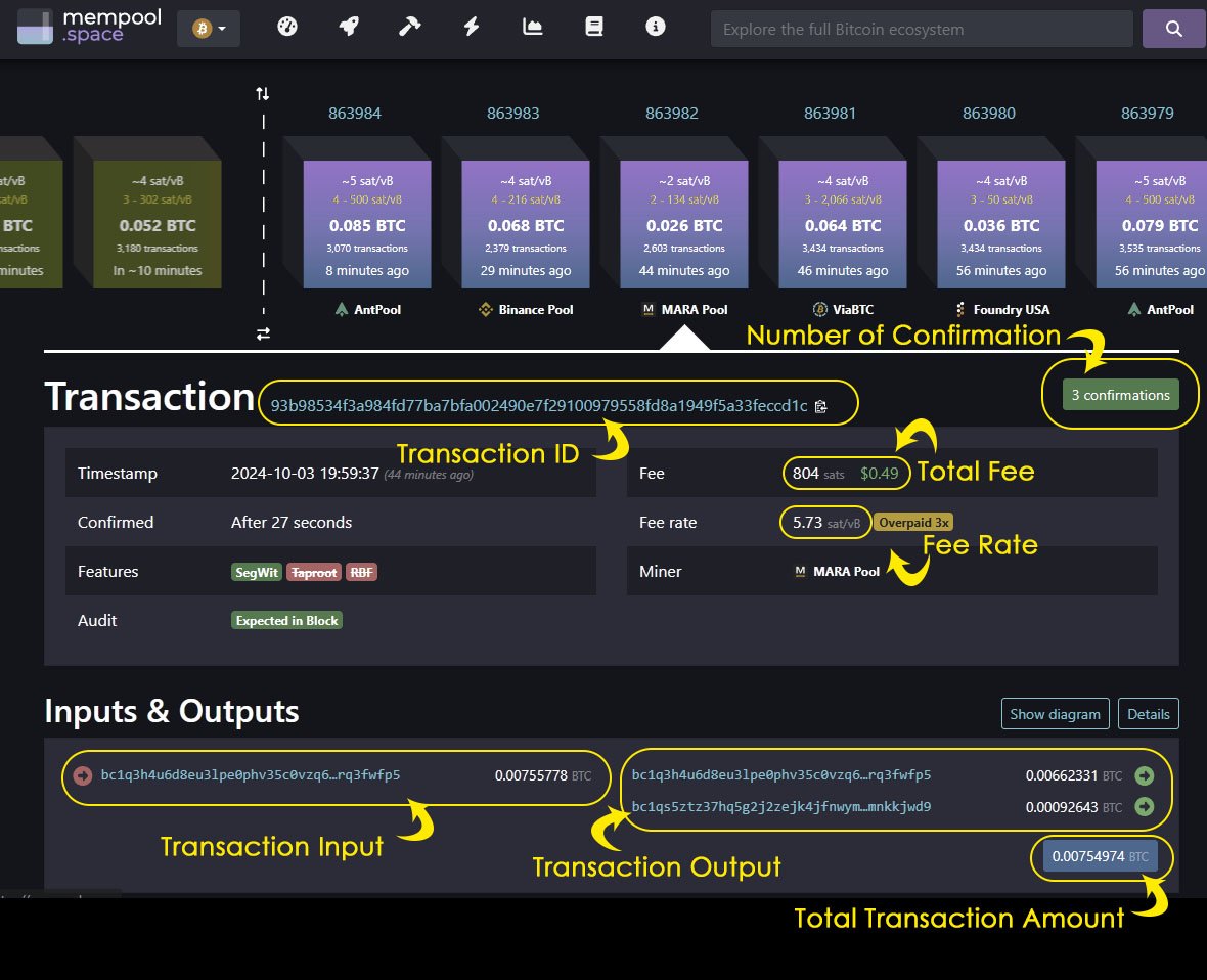 bitcoin transaction on a block explorer - your first bitcoin transaction