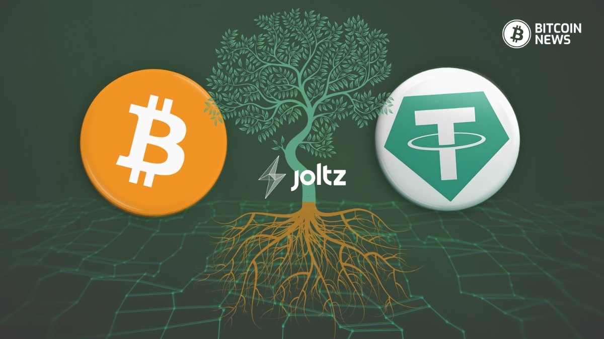 Joltz Ian Major Stablecoins Bitcoin