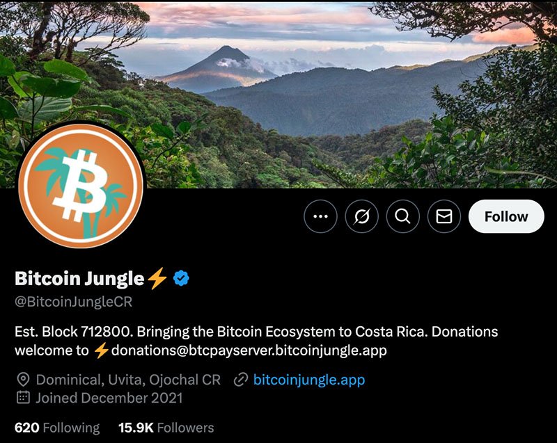 bitcoin jungle on X