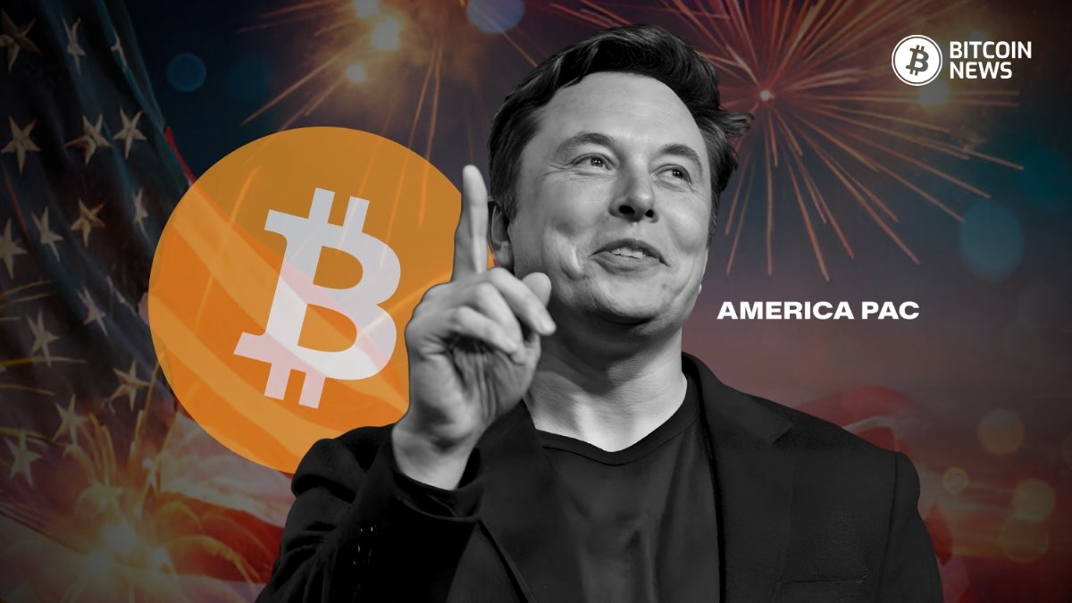 Elon Musk America Party Bitcoin